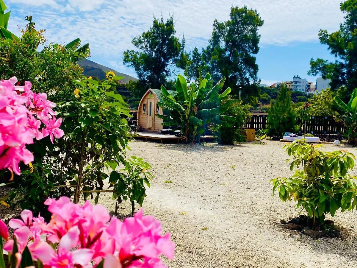 Lägenhet Macaronesia Love Spa, Sauna Y Piscina Buzanada Spanien